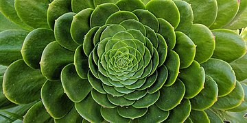 Comment déstresser avec des images apaisantes