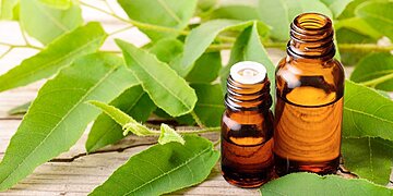 Le seul répulsif naturel contre les moustiques qui fonctionne vraiment