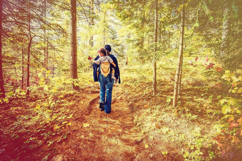 Une famille californienne est probablement décédée d’hyperthermie et de déshydratation lors d’une randonnée, selon des responsables – voici ce que cela signifie Une famille californienne est probablement décédée d’hyperthermie et de déshydratation lors d’une randonnée, selon des responsables – voici ce que cela signifie