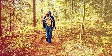 Une famille californienne est probablement décédée d’hyperthermie et de déshydratation lors d’une randonnée, selon des responsables – voici ce que cela signifie