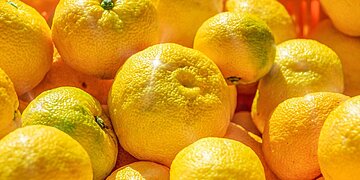 Qu’est-ce que le Yuzu ? Voici ce que vous devez savoir sur le fruit, y compris ses bienfaits pour la santé