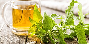 Les plantes qui soulagent les allergies saisonnières