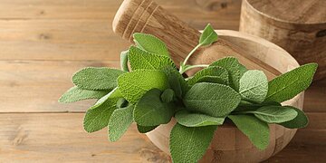 Quels bienfaits la sauge offre-t-elle pour la santé et le bien-être ?
