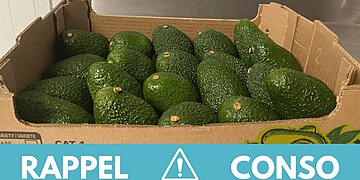 Un rappel important d’avocats à cause de leur contamination par des métaux lourds