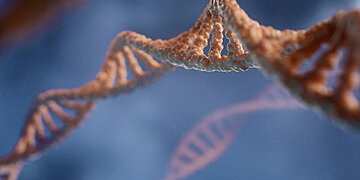 Selon des experts, l’ADN synthétique pourrait révolutionner le stockage face à la saturation future