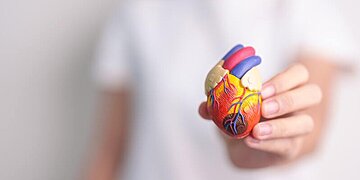Quand faut-il commencer à s’inquiéter de la santé de ses artères ?