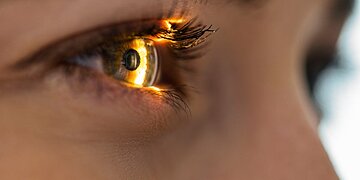 Comprendre la maladie de Behçet, une vascularite systémique aux nombreuses implications pour la santé