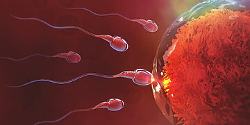 Un gel contraceptif masculin montre des résultats prometteurs selon une étude